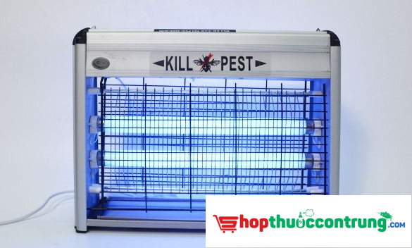 Kill Pest - GFC Pest Control - Công ty diệt côn trùng lớn nhất Việt Nam